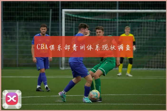 CBA俱乐部青训体系现状调查