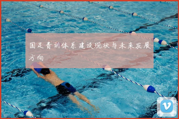 国足青训体系建设现状与未来发展方向